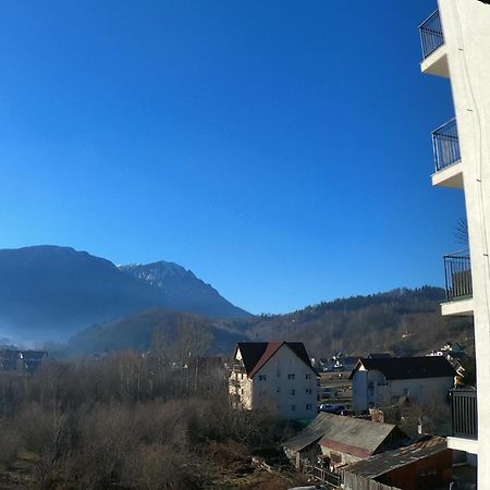 Panoramic Residence Zărneşti Exteriér fotografie