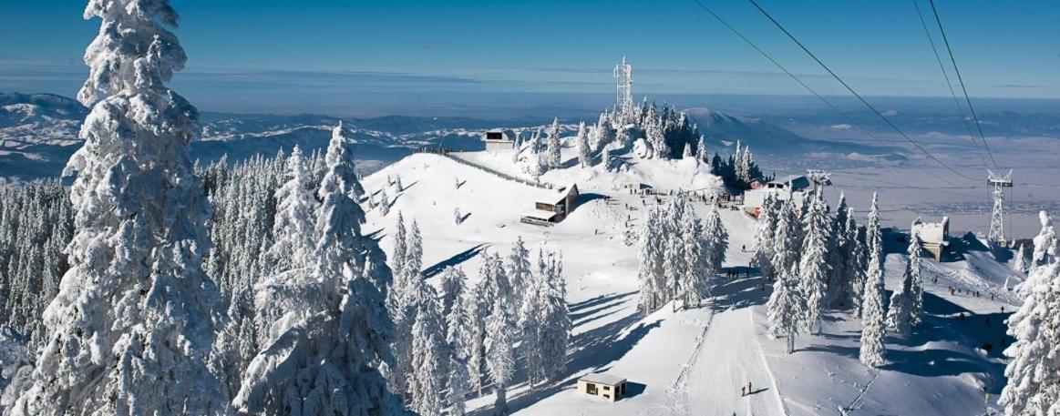 Panoramic Residence Zărneşti Exteriér fotografie