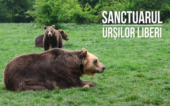 Panoramic Residence Zărneşti Exteriér fotografie