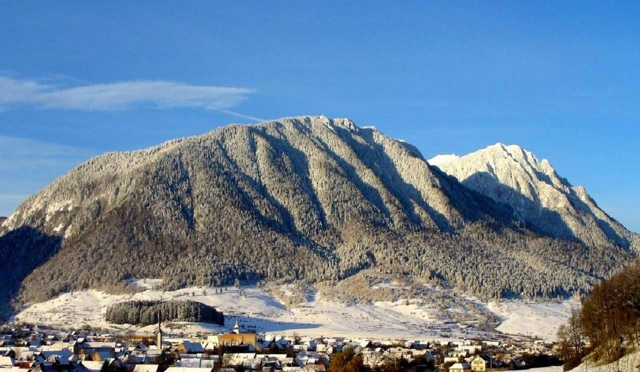 Panoramic Residence Zărneşti Exteriér fotografie
