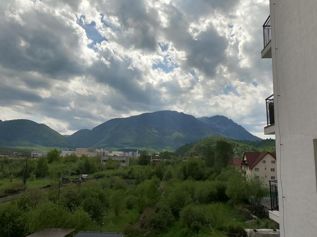 Panoramic Residence Zărneşti Exteriér fotografie