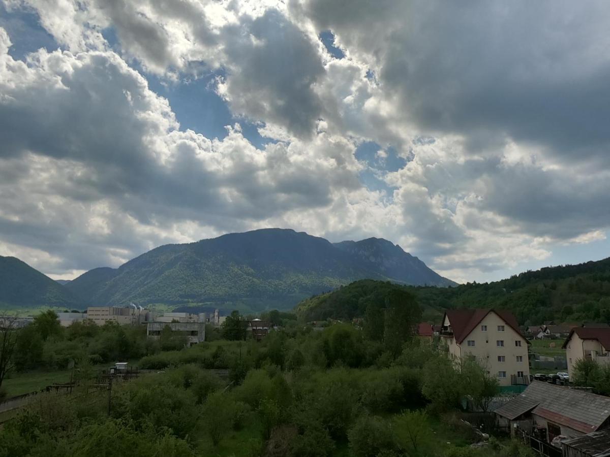 Panoramic Residence Zărneşti Exteriér fotografie