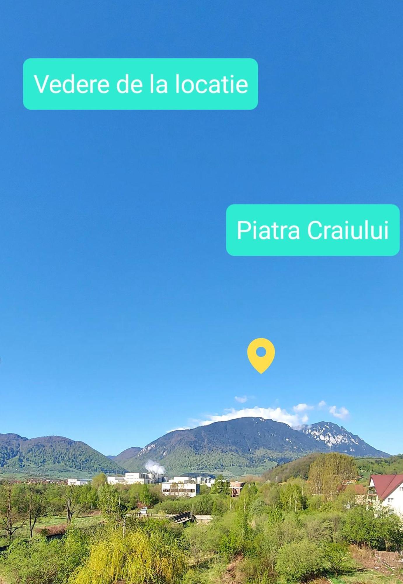 Panoramic Residence Zărneşti Exteriér fotografie